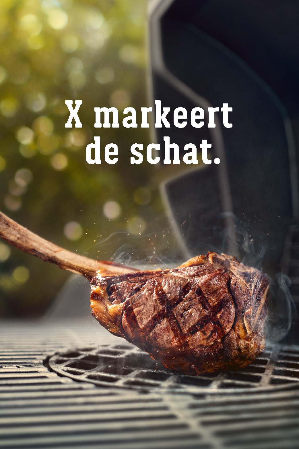 X markeert de schat sear